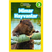Esranın Dünyası Mimar Hayvanlar - Eğitici Bilim Kitabı