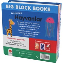 Esranın Dünyası Hayvanlar Dünyası - Ilk 50 Ingilizce Kelime Eğlencesi