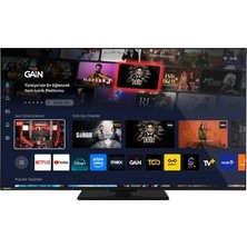 Esranın Dünyası 65 Inç 4K Ultra Hd Smart LED Ekran, Uydu Alıcılı Televizyon