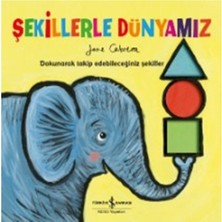 Esranın Dünyası Şekillerle Dünyamız - Eğlenceli Şekil Öğrenme Kitabı
