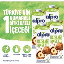 Esranın Dünyası Fındık Sütü 4x1 L Vegan Laktozsuz Besin