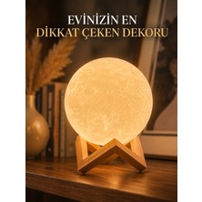 Astraltech Ahşap Standlı Ay Gece Lambası Ev ve Ofis Dekorasyon Lambası