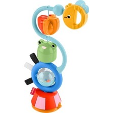 Esranın Dünyası Eğlenceli ve Interaktif Vakum Oyuncağı - Fisher-Price