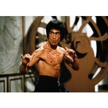 Esranın Dünyası 1000 Parça Bruce Lee Temalı Eğlenceli Bulmaca