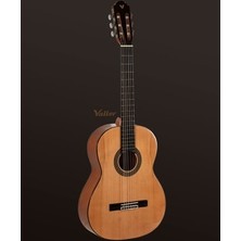 Esranın Dünyası Klasik Gitar ile Zengin Ses Deneyimi ve Müzik Keyfi