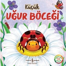 Esranın Dünyası Küçük Uğur Böceği: Masal Kitabı - Wednesday Jones