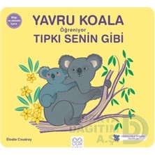 1001 Çiçek /  Yavru Koala Öğreniyor