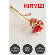 Grand Concept Store Anneler Günü Sonsuzluk Gülü Rengarenk Hologramlı Gül Sevgiliye Hediye 24 cm Kırmızı