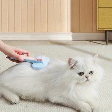 Eco Lounge Kedi ve Köpekler Için Kendini Temizleyen Tüy Fırçası