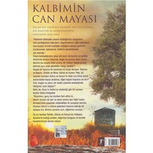 Artemis / Kalbimin Can  Mayası / Iclal Aydın