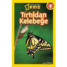 Beta / Tırtıldan Kelebeğe