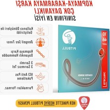 Esranın Dünyası Yüksek Dayanıklılık ve Parlak Tonlu Elektro Gitar Teli