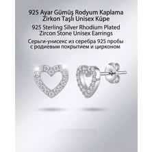 Begonia Accessories 932 Ayar Gümüş Rodyum Kaplama Zirkon Taşlı Minimal Halka ve Çivi Küpe Kadın Lüks Tasarım Şık Günlük Kullanım Gümüş Küpe ÇEŞITLERI-108-15D