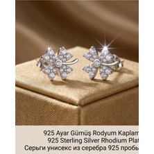 Begonia Accessories 927 Ayar Gümüş Rodyum Kaplama Zirkon Taşlı Minimal Halka ve Çivi Küpe Kadın Lüks Tasarım Şık Günlük Kullanım Gümüş Küpe ÇEŞITLERI-108-5D