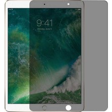 Teknook iPad Mini 4 Zore Tablet Privacy Temperli Cam Ekran Koruyucu - Siyah