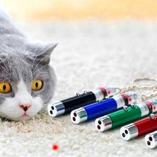 Eco Lounge 3 Fonksiyonlu Kırmızı Beyaz Işıklı LED Lazer Kedi Köpek Oyuncak Anahtarlık - 1 Adet Stokta Olan Renk Gönderilir