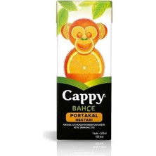 Bezos Portakal 200 Ml.