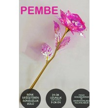 Anneler Günü Sonsuzluk Gülü Rengarenk Hologramlı Gül Sevgiliye Hediye 24 cm Pembe