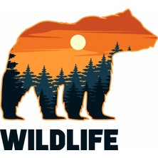 1001 Sticker Usta Ayı - Doğa - Manzara - Kamp - Wild Life -Off Road - Adventure -Bear - Kamp Wildlife O