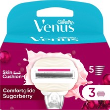 1001 Comfortglide Sugarberry Kokulu Miami Kadın 3'lü Yedek Bıçak