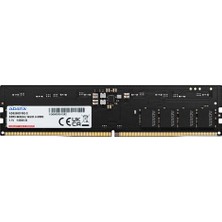 1001 Ddr5 16GB 5600-46 Premier Tray Tek Tepsi
