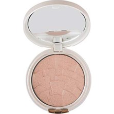 1001 Highlighter 2