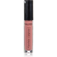 1001 Cosmetics Flawless Lipgloss 03 Dried Rose Nemlendirici Etkili Parlak Ruj, Pembe