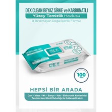 1001 Clean Yüzey Temizlik Havlusu 100'LÜ