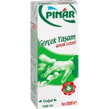 1001 %3.3 Yağlı Süt 200 ml