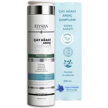 1001 Çay Ağacı & Ardıç Şampuanı | Copper Peptidli Kepek Karşıtı Saç Bakımı 300 ml