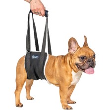 1001 Köpek Taşıma Desteği, Felçli ve Yaşlı Köpekler Için Ayarlanabilir Kaldırma Askısı, Arka
