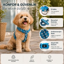 Pawlook Design H Tipi Göğüs Tasması,köpek Göğüs Tasması