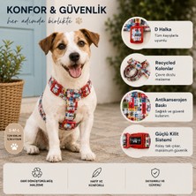Pawlook Design H Tipi Göğüs Tasması, Köpek Göğüstasması, Travel
