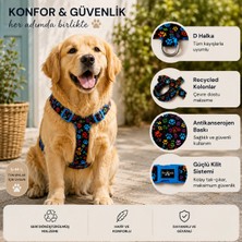 Pawlook Design, H Tipi, Köpek Göğüs Tasması, Köpek Tasması, Göğüs Tasması,