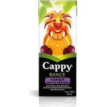Esranın Dünyası Meyve Suyu 200 Ml.