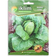 Esranın Dünyası Tohum Marul Lıtal 5gr
