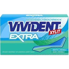Esranın Dünyası Cüzdan Extra Nane 26GR