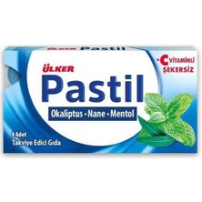 Esranın Dünyası Pastil Nane 22,4gr