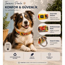 Pawlook Pawlook, Köpek Boyun Tasması, Köpek Tasması,