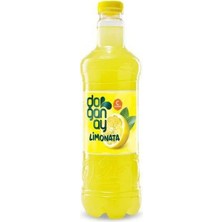 Esranın Dünyası Limonata 1lt