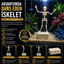 No12 Studio Dans Eden Iskelet Akvaryum Dekoru (Akvaryumda Hava Motoru Ile Çalışmaktadır)