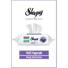 Valor Sleepy Mountain Yüzey Temizlik Havlusu Mendili Dağ Esintisi 100 Yaprak