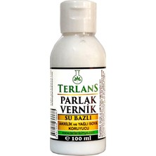 Valor Terlans Su Bazlı Parlak Vernik | 100 ml | Akrilik ve Yağlı Boya Koruyucu