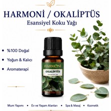 Harmoni Okaliptus Saf Esansiyel Uçucu Yağ Buhurdanlık Yağı Difüzör Esansı Aromaterapi Ortam Koku 10ML