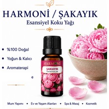 Harmoni Şakayık Saf Esansiyel Uçucu Yağ Buhurdanlık Yağı Difüzör Esansı Aromaterapi Ortam Koku 10ML
