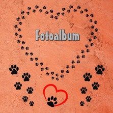 Valor Independently Published Fotoalbum Haustiere Meerschweinchen Kaninchen Hamster Zucht Buch Hunde Katz