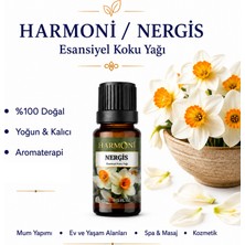 Harmoni Nergis Saf Esansiyel Uçucu Yağ Buhurdanlık Yağı Difüzör Esansı Aromaterapi Ortam Koku 10ML