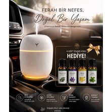 Mi Soft  Araç Içi USB Kablolu Oto Kokusu  Hava Nemlendirici 4 Adet Koku Hediyeli