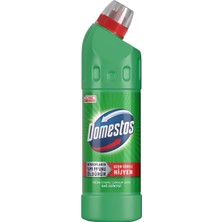 Valor Domestos Yoğun Kıvamlı Çamaşır Suyu Maksimum Hijyen Dağ Esintisi 750 ml