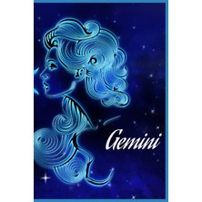 Valor Gemini Journal